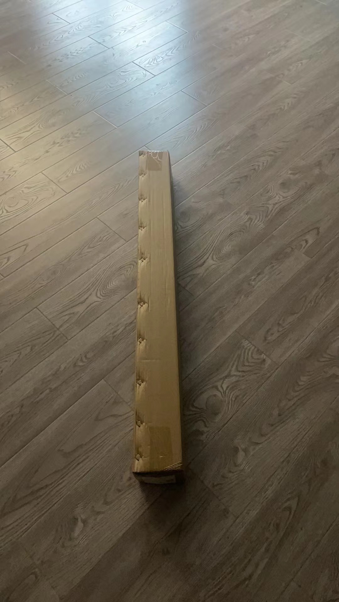 package of spa cleaner.jpg