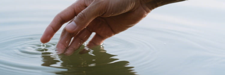 1768542022341751.png freecompress-新建项目_(5).png